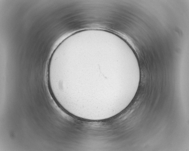 X0000115361387200912011104