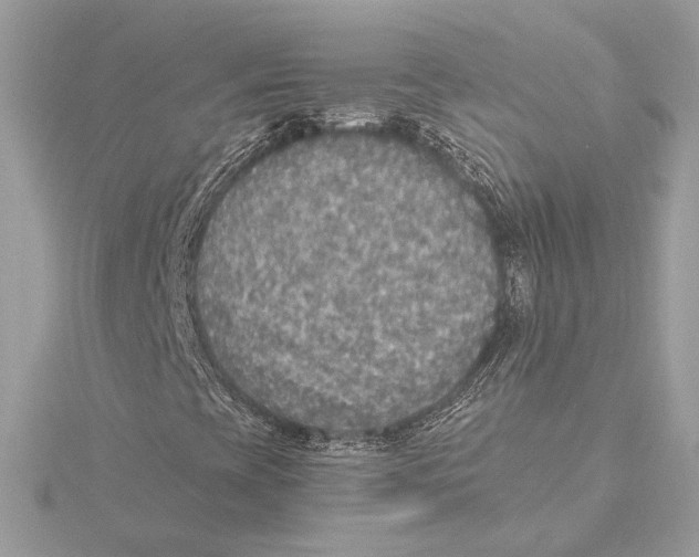 X0000115361393200912011103