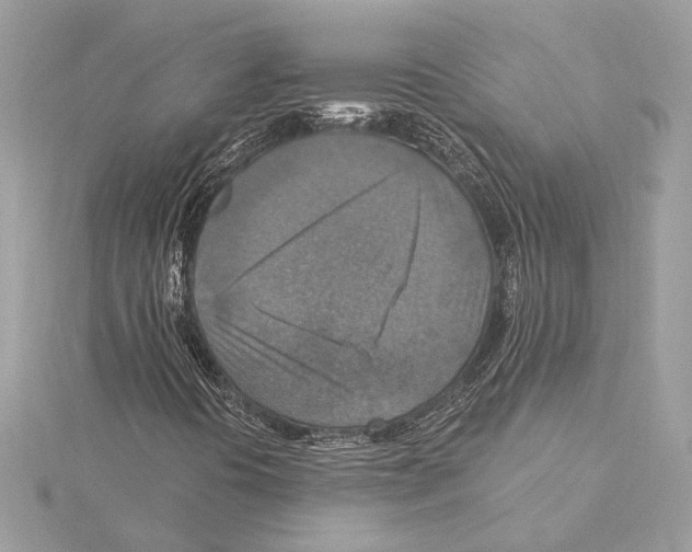 X0000115361394200912011103