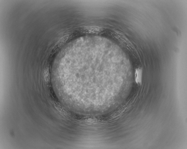 X0000115361395200912011103