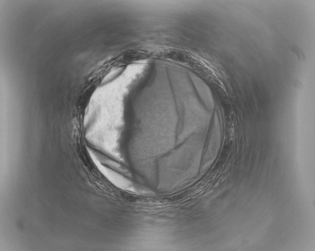 X0000115361397200912011103