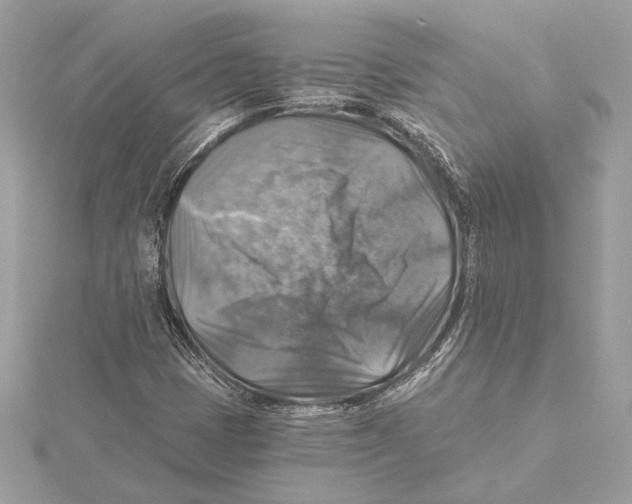 X0000115361401200912011103