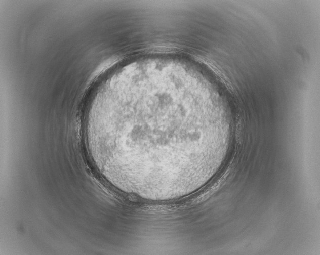 X0000115361402200912011103