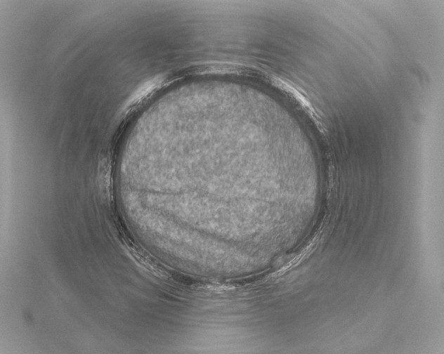 X0000115361403200912011103