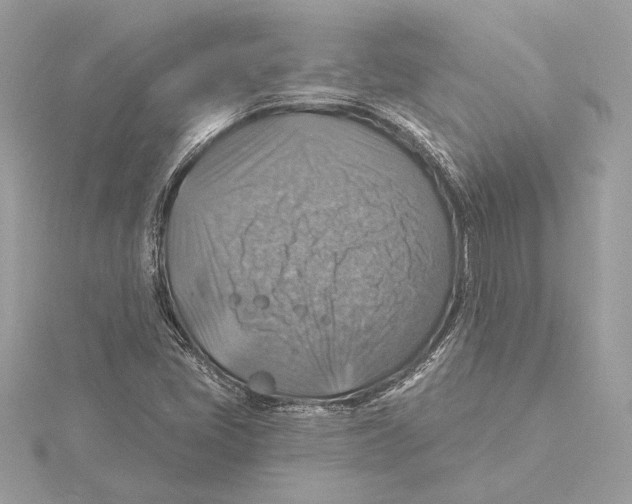 X0000115361405200912011103