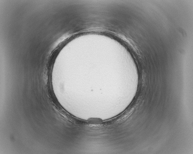X0000115361406200912011103