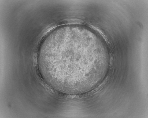 X0000115361407200912011103