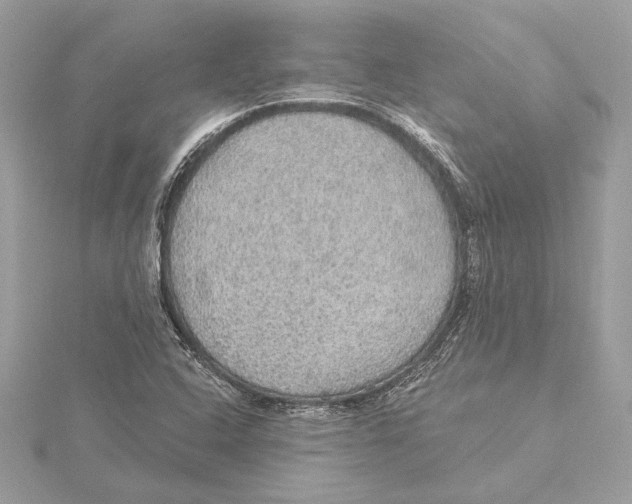 X0000115361408200912011103