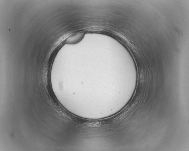 X0000115361410200912011103