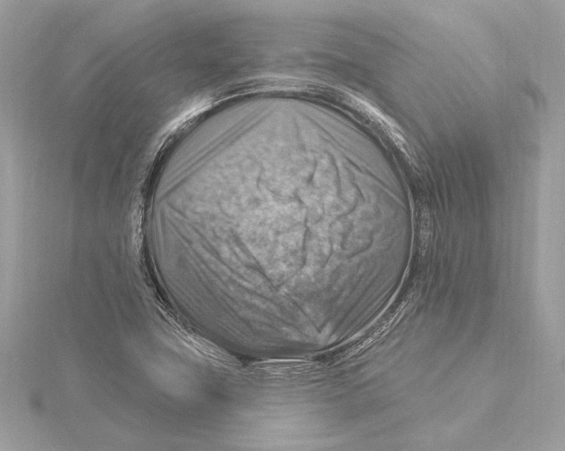 X0000115361411200912011103