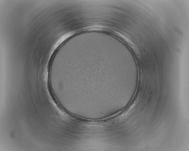 X0000115361418200912011103