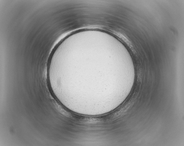 X0000115361420200912011103
