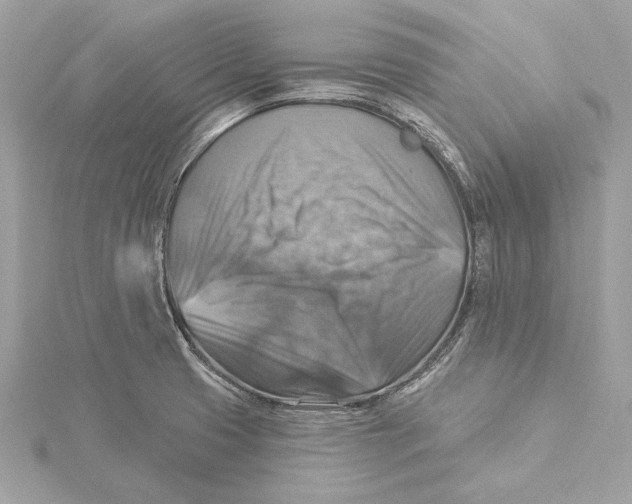 X0000115361425200912011103