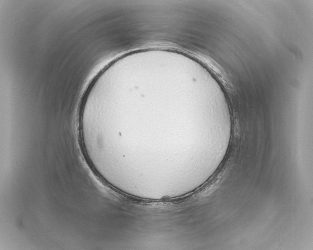 X0000115361430200912011103