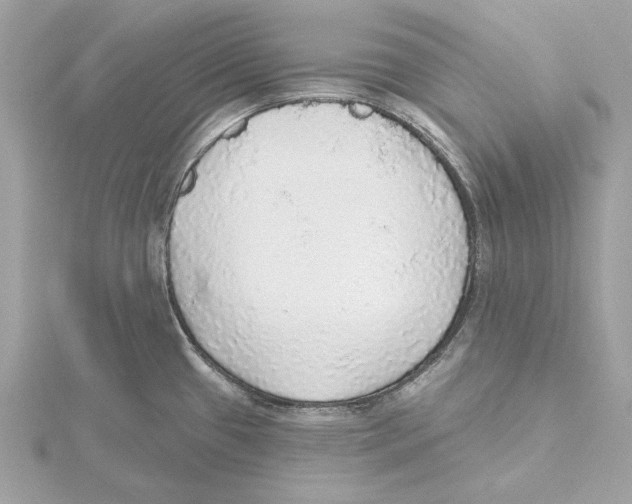 X0000115361433200912011104