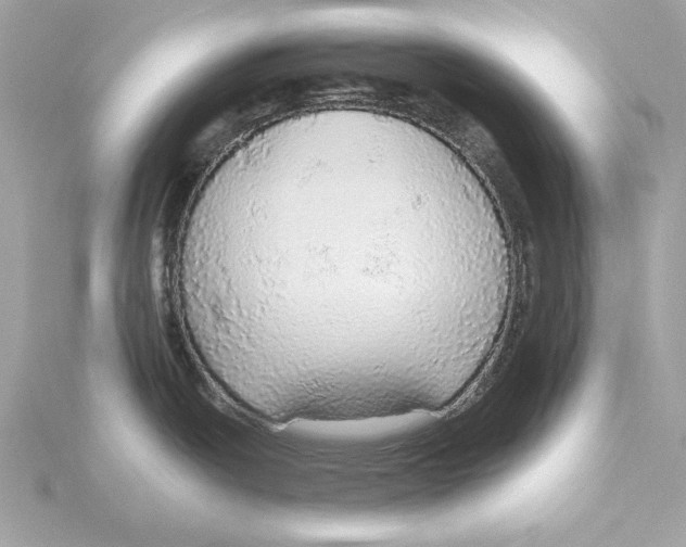 X0000115361438200912011104