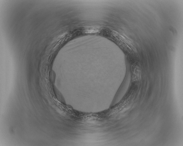 X0000115361441200912011103