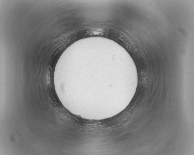 X0000115361442200912011103