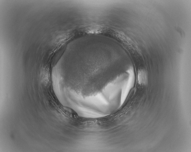 X0000115361444200912011103