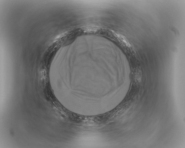 X0000115361445200912011103