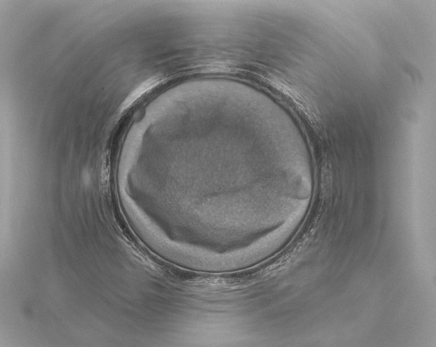 X0000115361450200912011103