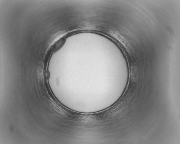 X0000115361452200912011103