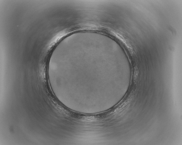 X0000115361455200912011103