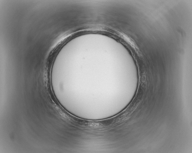 X0000115361456200912011103