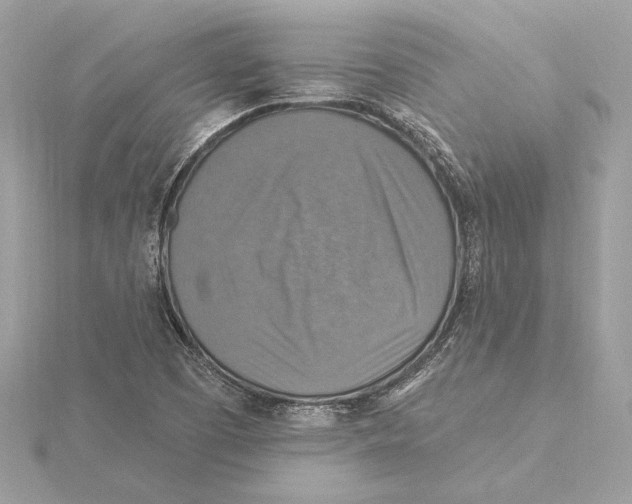 X0000115361457200912011103