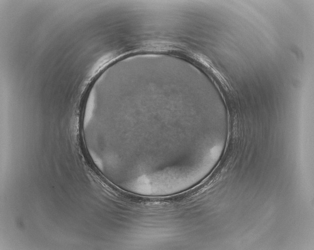 X0000115361459200912011103
