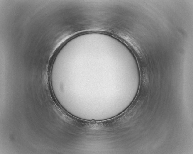 X0000115361460200912011103