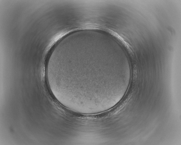 X0000115361461200912011103