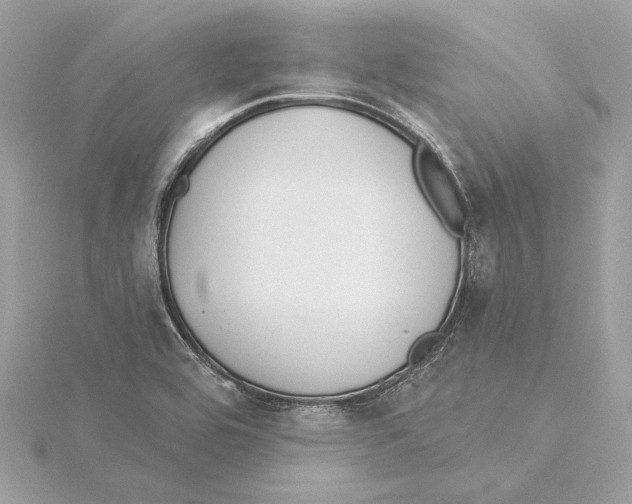 X0000115361464200912011103