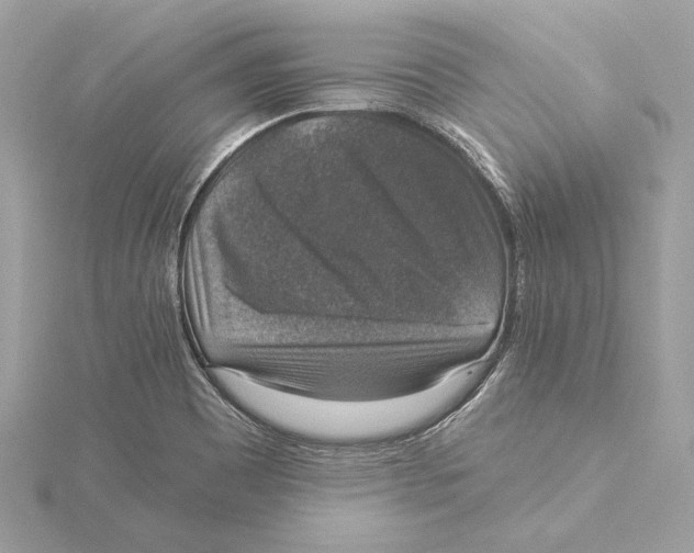 X0000115361465200912011103