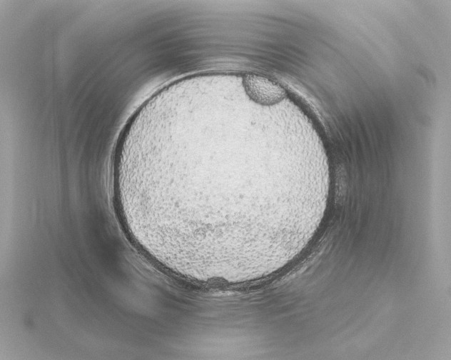 X0000115361467200912011103