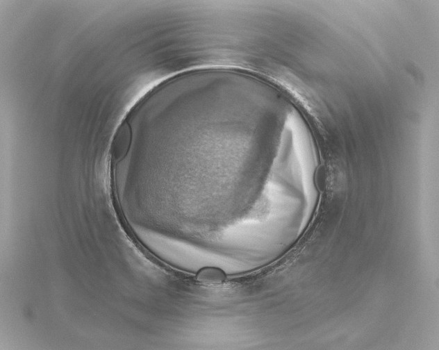 X0000115361468200912011103