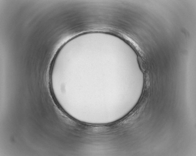 X0000115361471200912011103