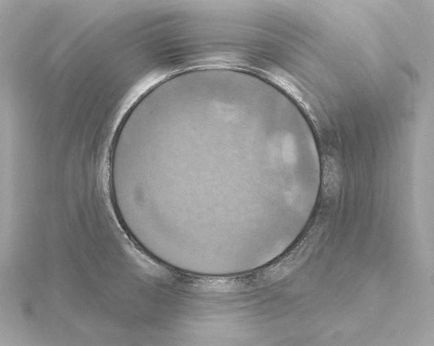 X0000115361474200912011103