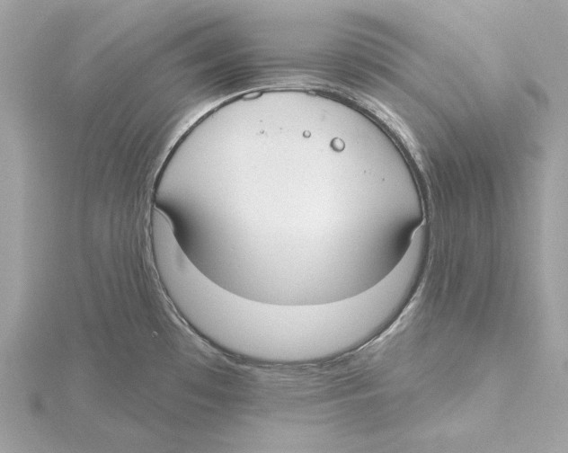 X0000115361481200912011102