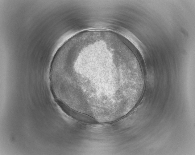 X0000115361485200912011102