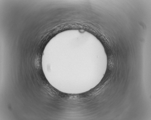 X0000115361490200912011102