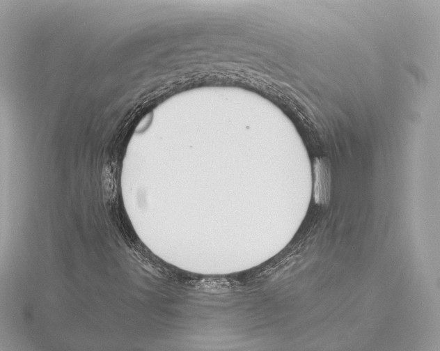 X0000115361491200912011102