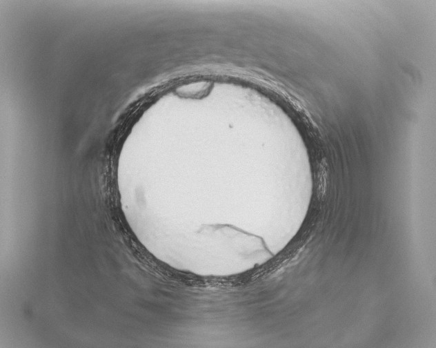 X0000115361494200912011102