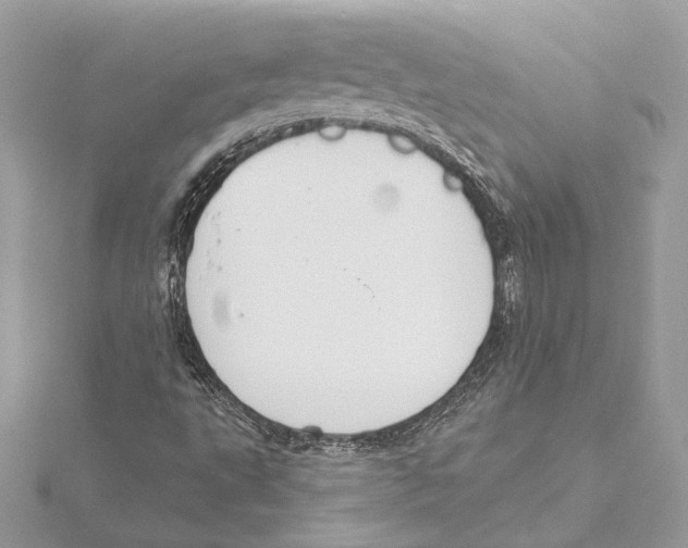 X0000115361495200912011102