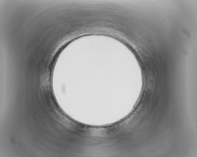 X0000115361498200912011102