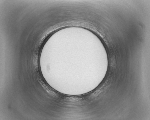 X0000115361499200912011102