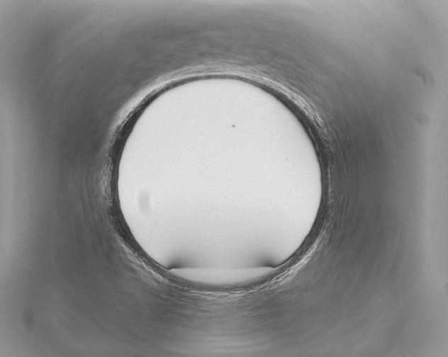 X0000115361502200912011102
