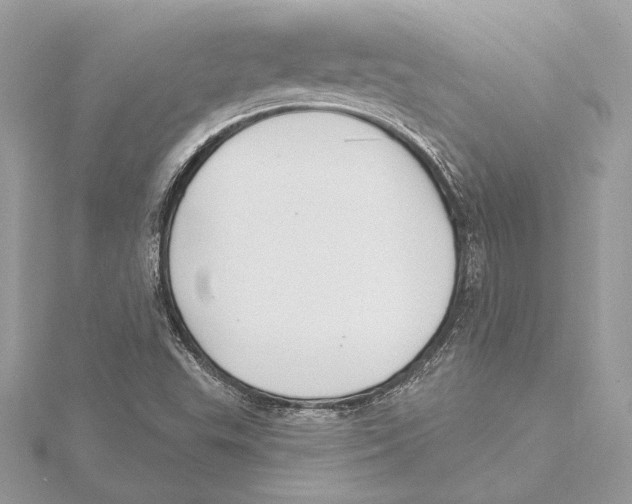 X0000115361503200912011102
