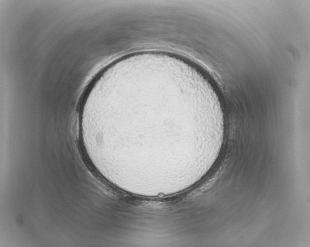 X0000115361509200912011102