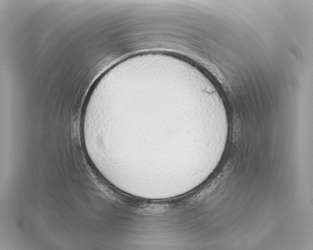 X0000115361513200912011102